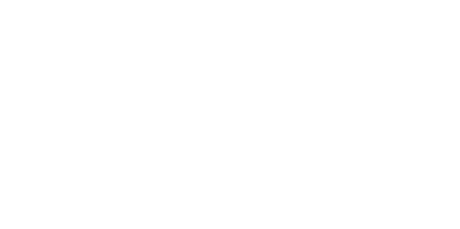 DFL Logo